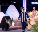 “四季村晚”夏季村晚示范展示活动在南川圆满举办！