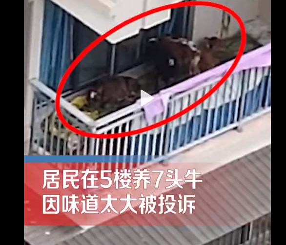 微信截图_20230715151424.png