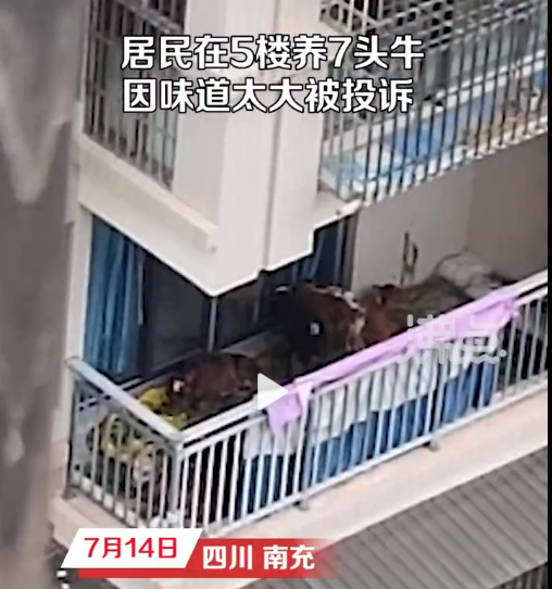 微信截图_20230715151441.png