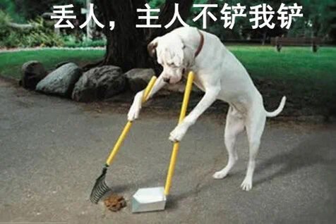 20230729160918front1_0_406881_FqAUAFQ8HkIuWFU1eBcBWq0VNXov.jpg