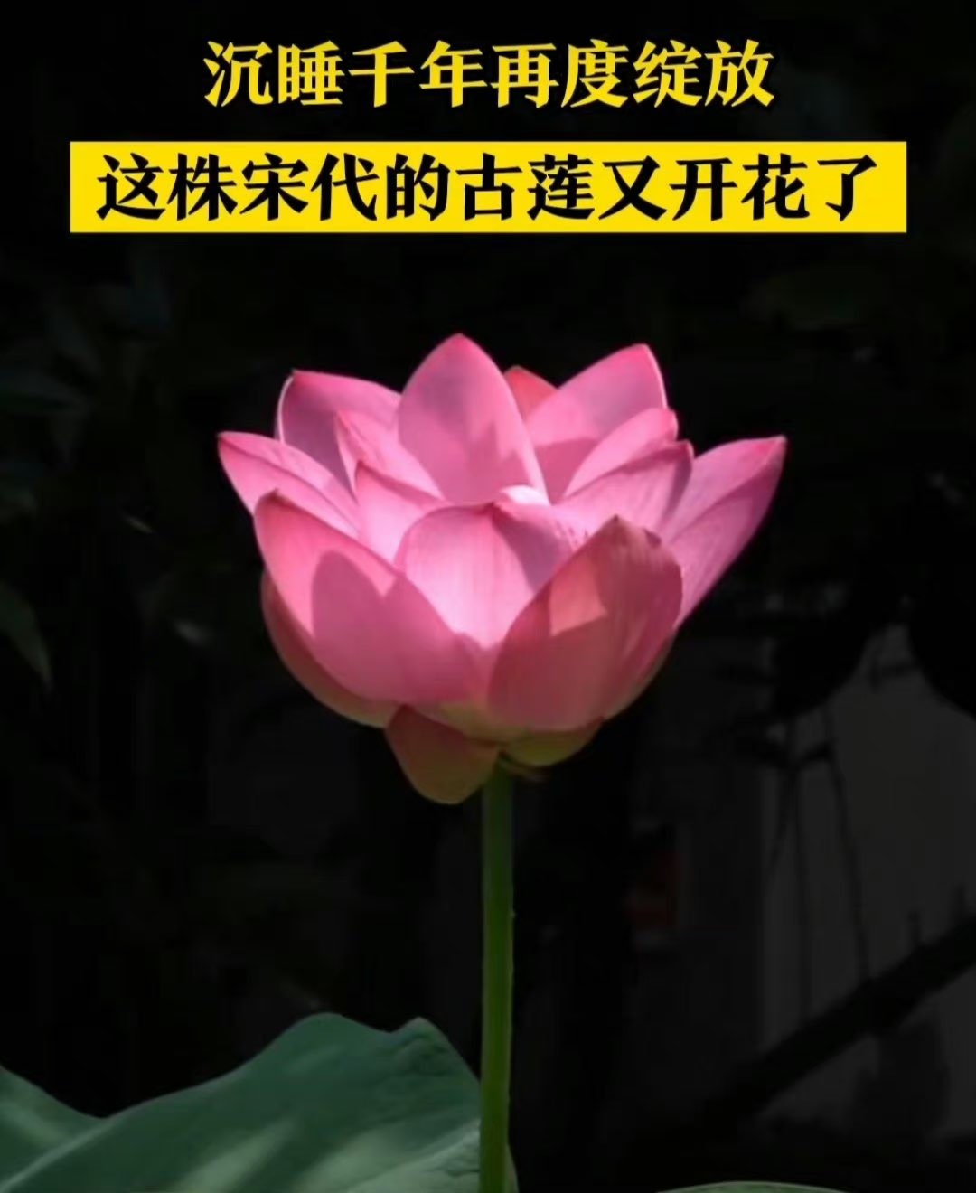 20230802091102front1_0_414087_Fomeg0yP2NGkUTWRoi8smU2F-NWf.jpg