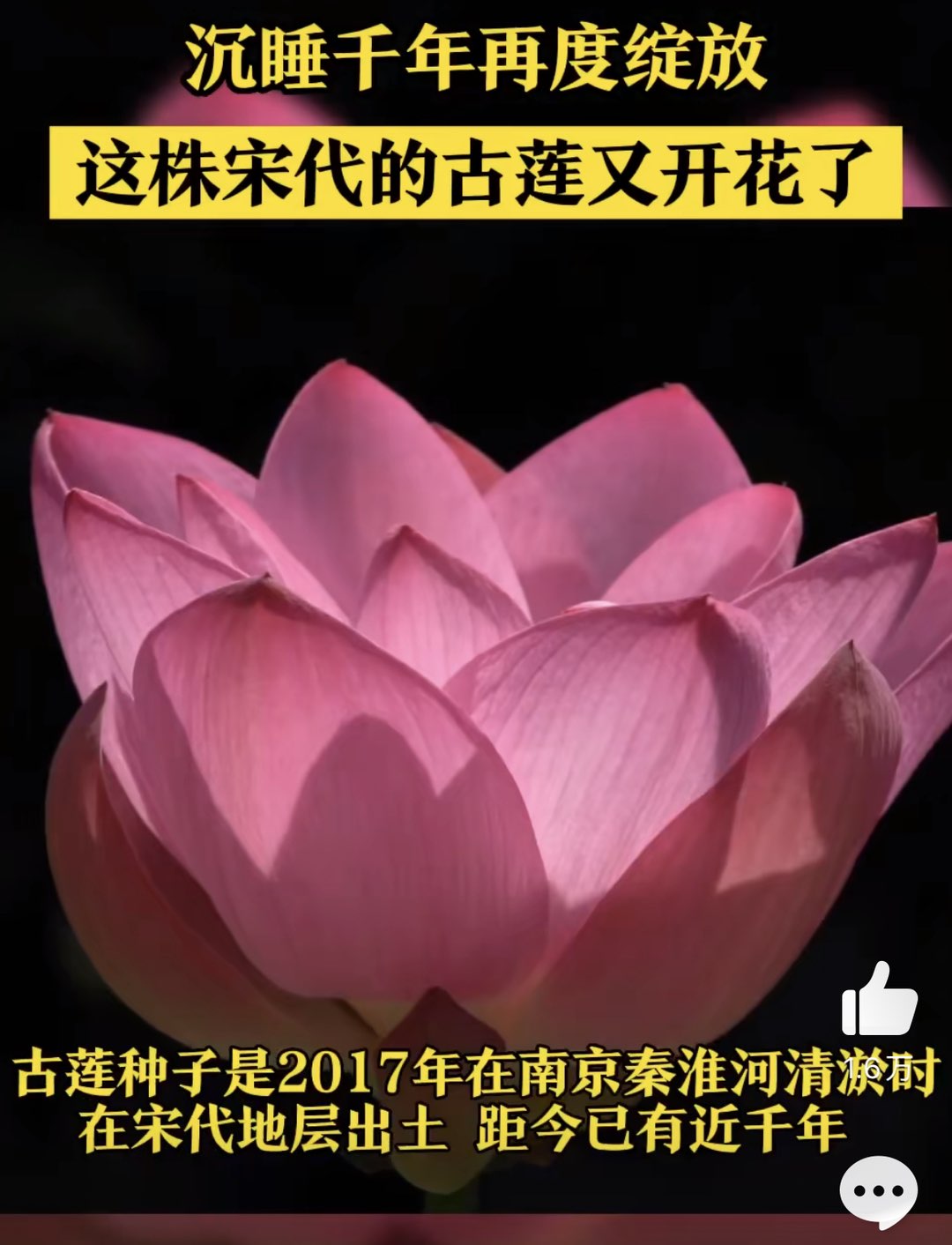 20230802091126front1_0_414087_FnIUFS5xy5kk9rYqK9PD_ortJzHv.jpg