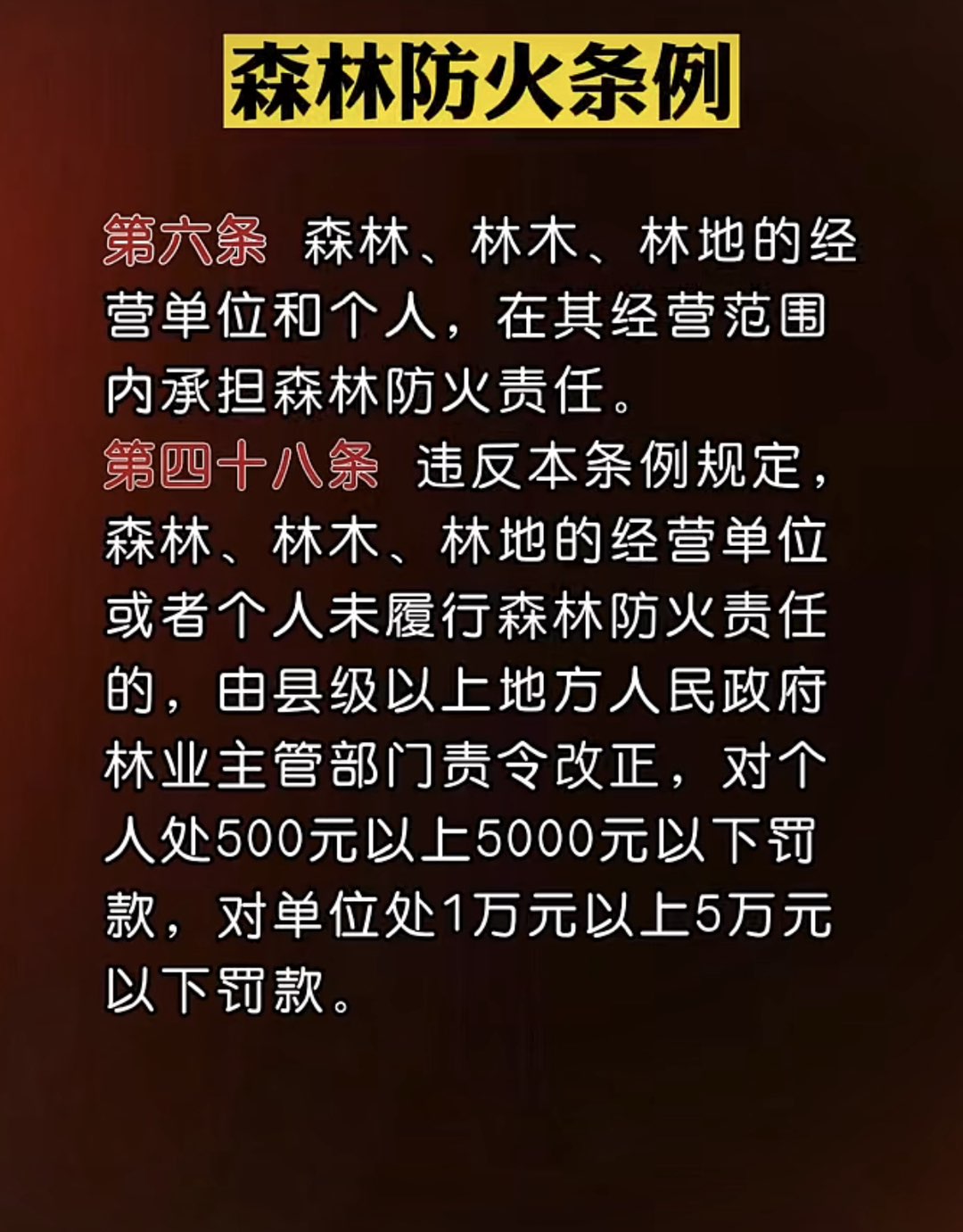 20230814164511front1_0_414102_FqY8huD7OXMWe5zu-ElZ3iq9T7nc.jpg