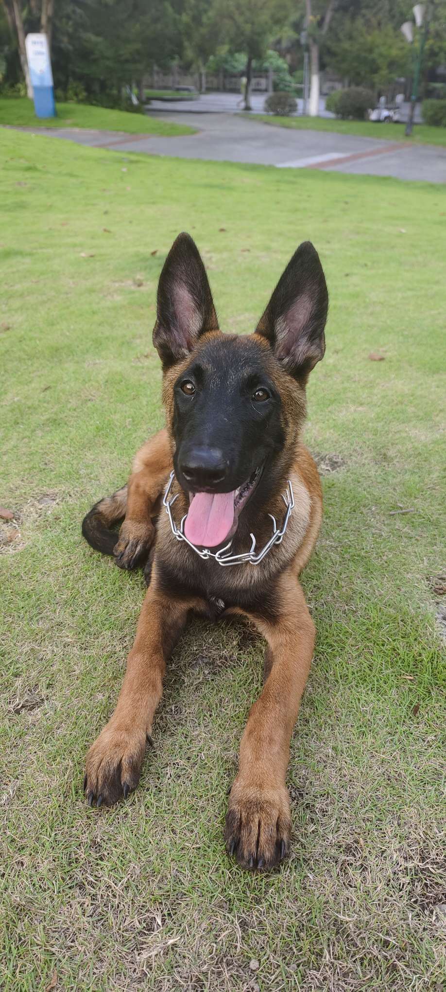 20230824202757front2_0_423235_FlMajRr7kDu5Z4ufqt9H4LuzYGpq.jpg