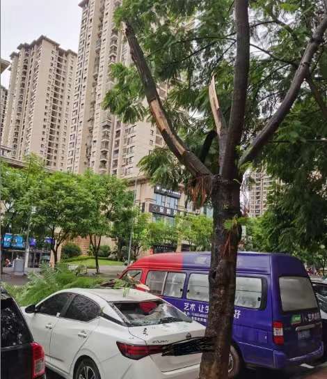 微信图片_20230921120422.jpg