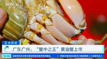 微信截图_20230923152227.png