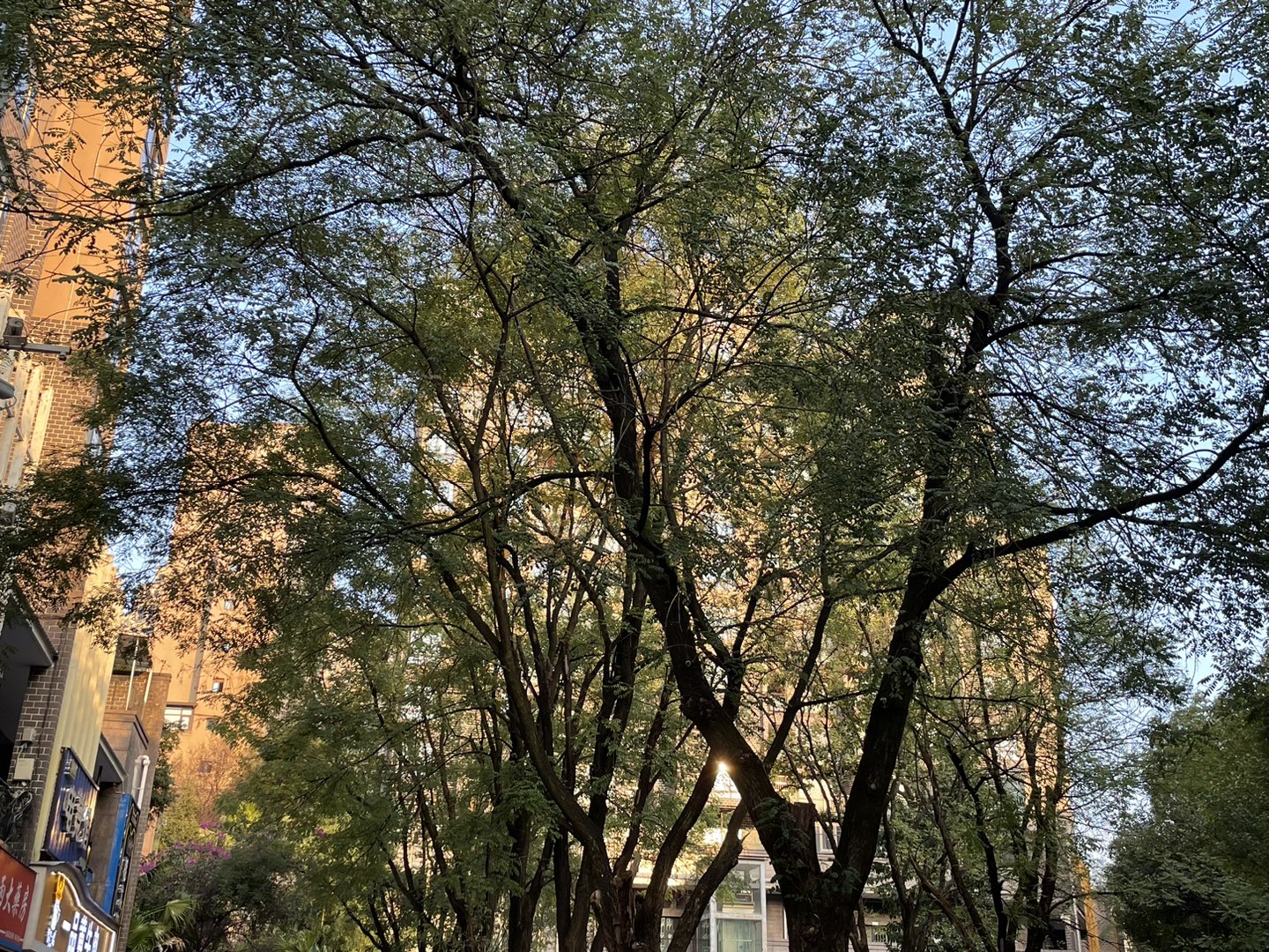 20231018104019front1_0_414094_Fr9ehllbCSyIxl28jNUExT_1RySk.jpg