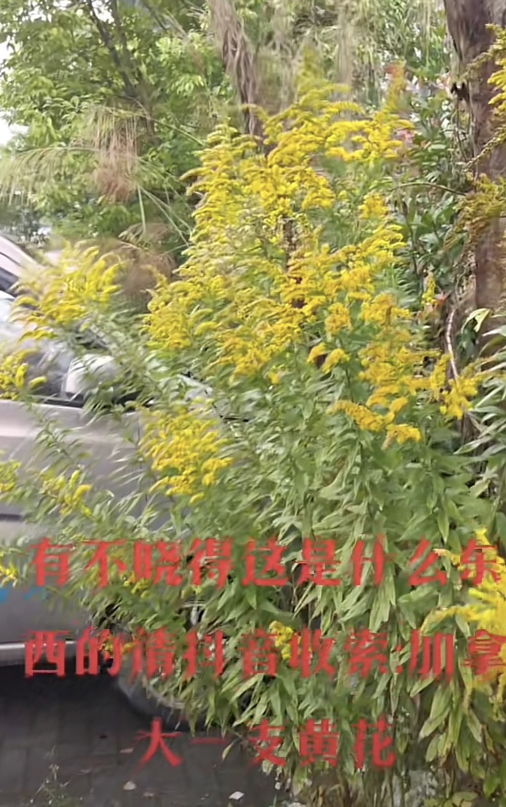20231104092257front1_0_420451_FnyxkviQCUUyOcMdFRiTXMiQwSna.jpg