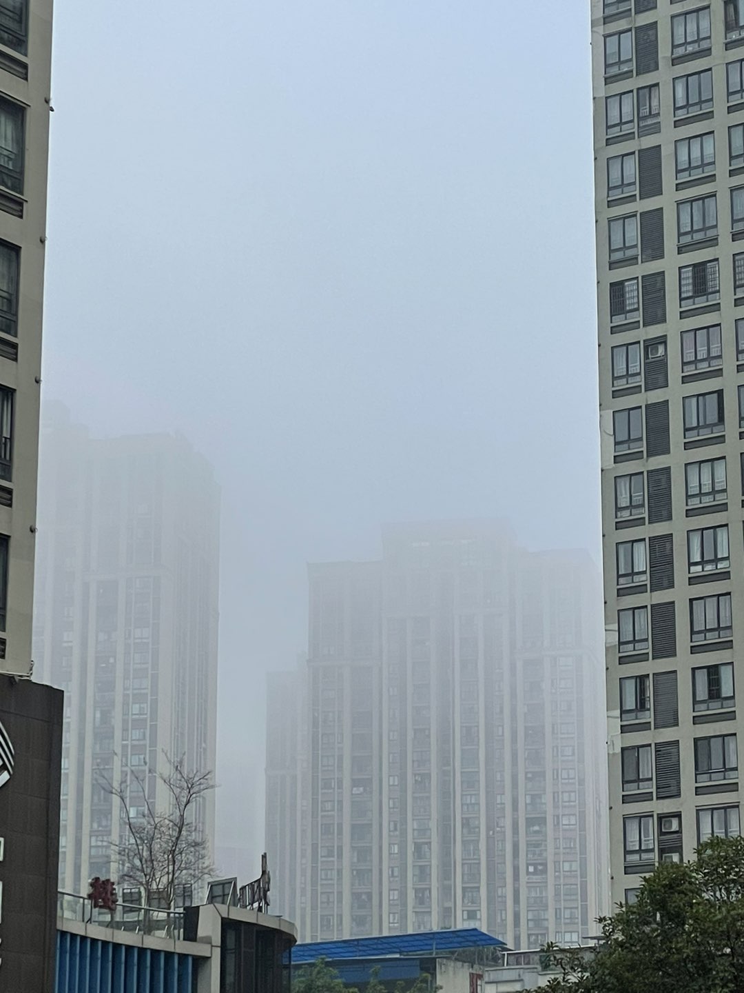 20231207091344front1_0_414118_FvutJLRBK57RtTYcvJXyAKcpxw26.jpg