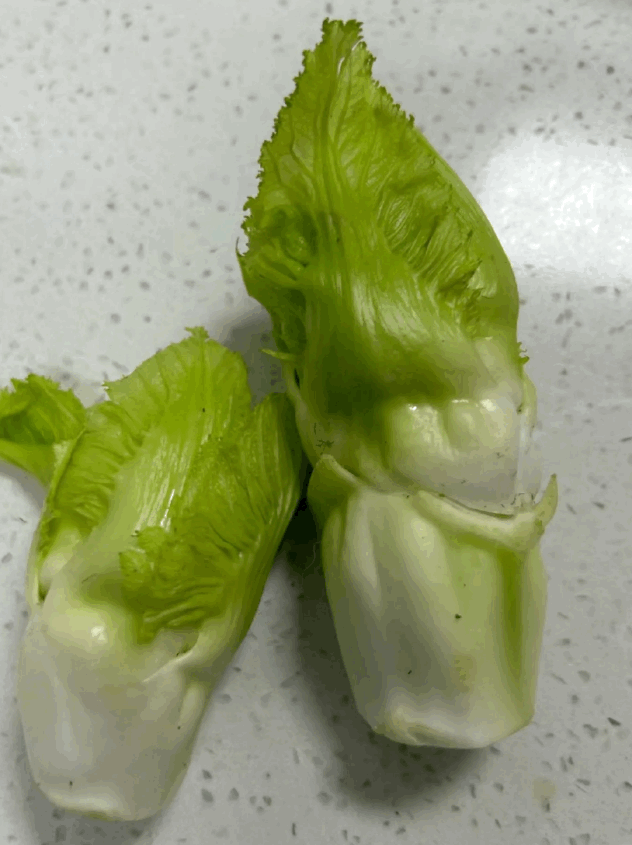 20231213101242front1_0_414088_FrEXq3hg1fTAXNE1k5QPCarBWwD8.gif