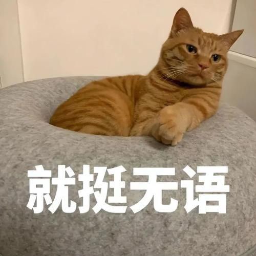 20231214155538front1_0_414104_FlzxwjSKXe4MahkzizfCsNZWWF8m.jpg