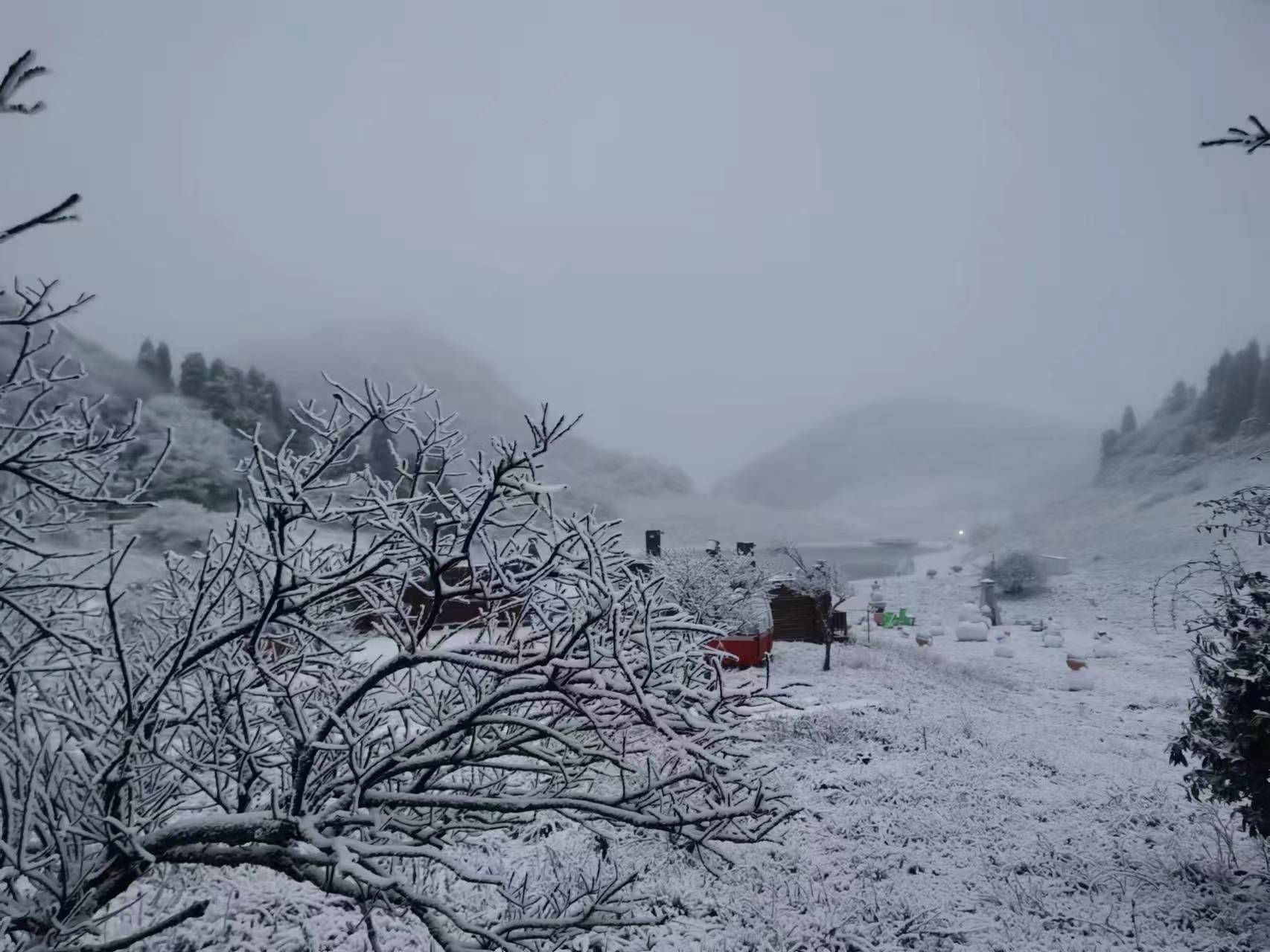 20231216091444front1_0_414104_FnGYHRRyZgYSX6oynEW468hNuAe3.jpg