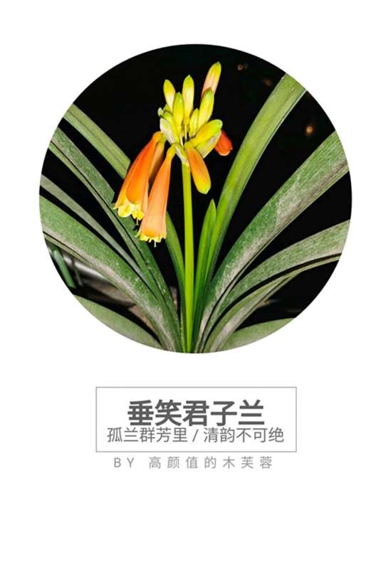 xs_1704460214271_副本.jpg