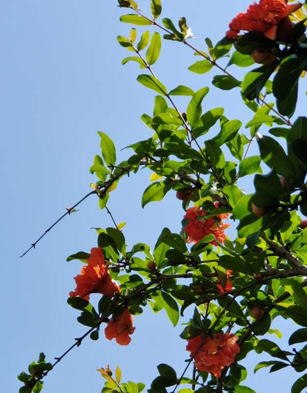 IMG_20240426_180322_副本.jpg