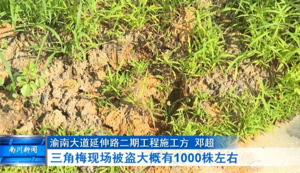 微信截图_20240606091758.png
