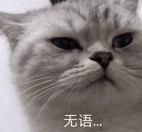 20240617164328front1_0_414102_Fr6LmXY-CzYGNLI2b_rb4jSYr9pT.gif