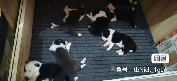 微信图片_20240625060519.jpg
