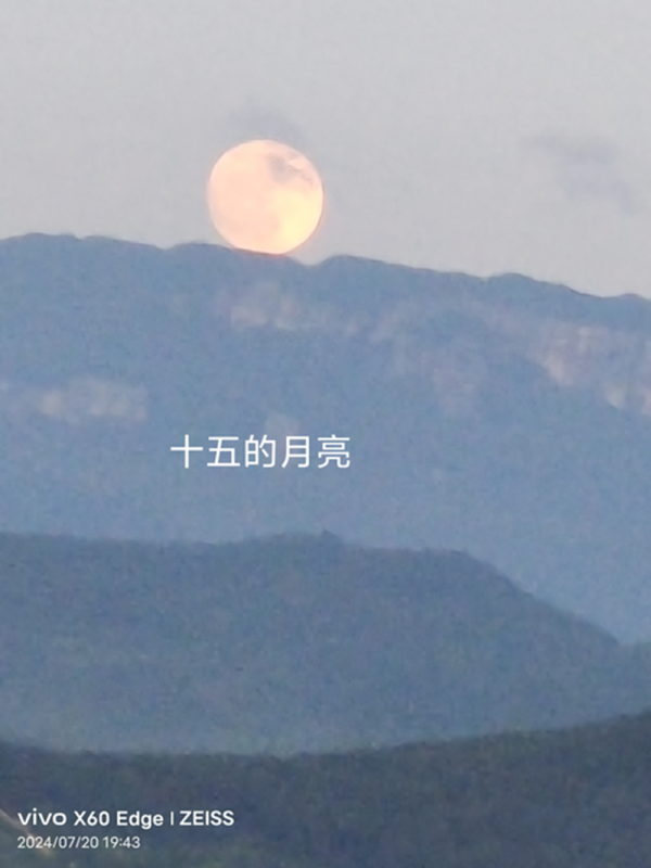 17fa14fe09f8176130092fe1d7c69382_750.png