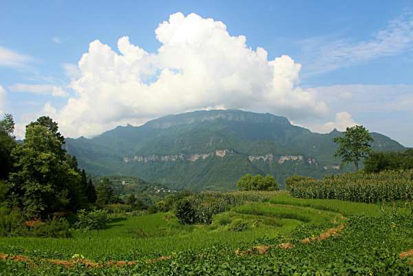 2024.7.27柏枝山即景1.jpg