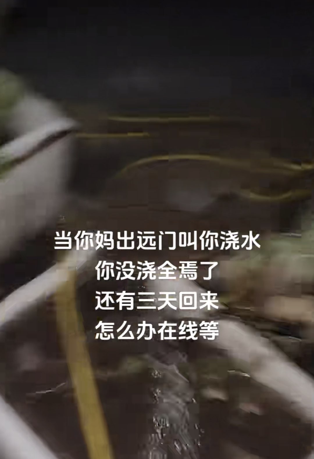 20240816151513front1_0_414109_FuLpp1DnT5ioBwUhxQzhAefskR_w.jpg