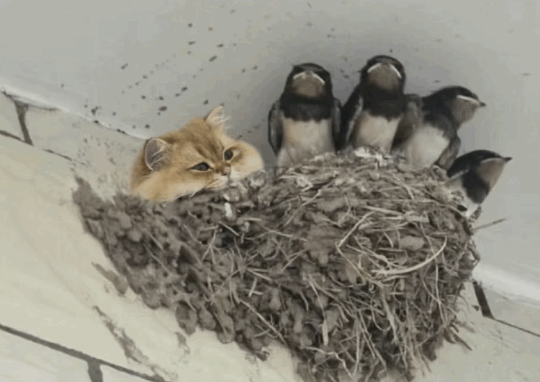 20240822164315front1_0_414123_FveRn8jFBSgPXUOX2YNLft5QlVc3.gif