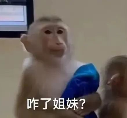 20240925153131front1_0_414115_Fh5jyAoF1cY3swA-Cok0YH16WUUr.jpg