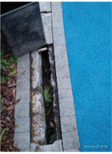20241031104132front2_0_414097_Ft5KxpY6Vk9q7wkRb5ahTxWUAj0h.png