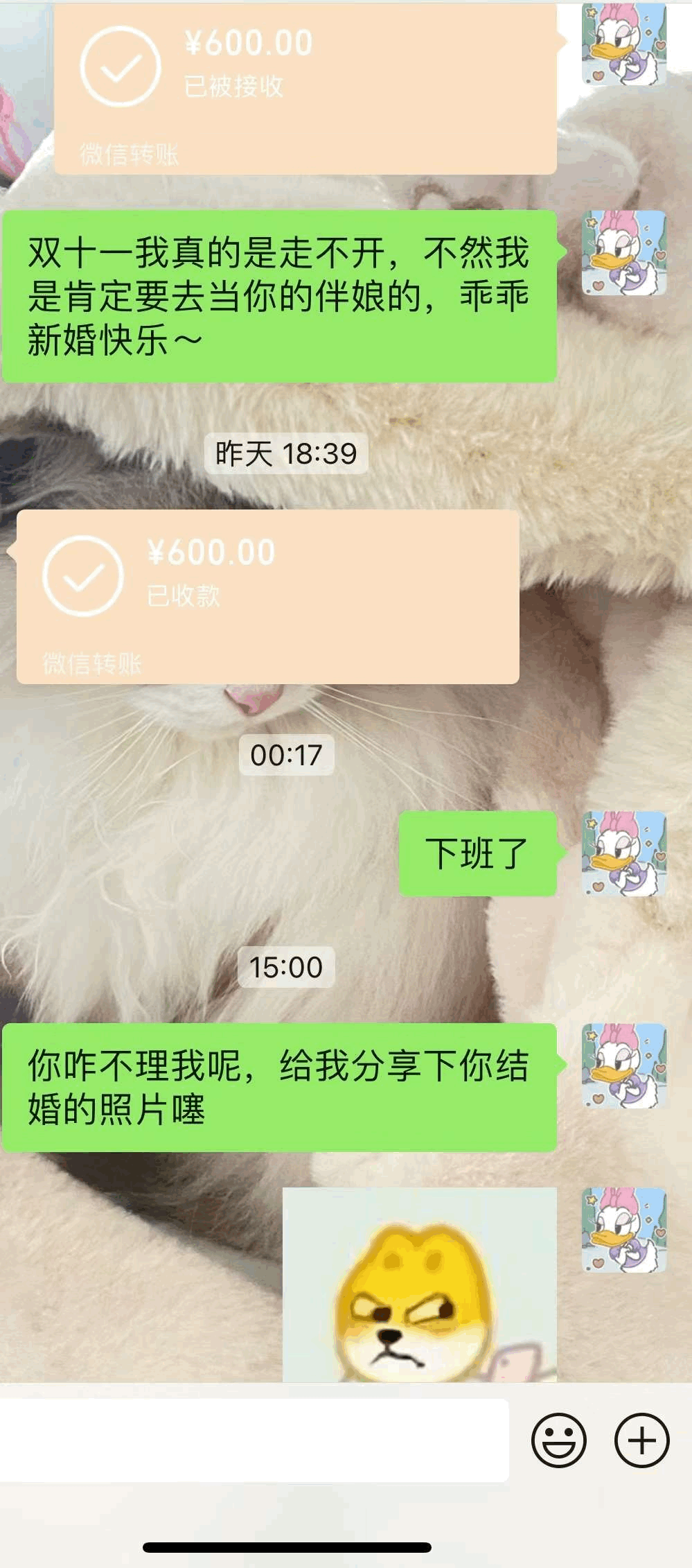 20241031111028front1_0_414087_FgwwDtLBZQgxFqyIjHT4GeXd8KtP.gif