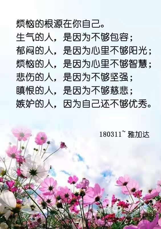 20241202205317front2_0_430814_FrP93lO7p5MxHEt80D-wcNfujruO.jpg