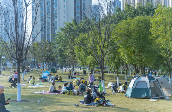 QQ浏览器截图20241209101935.png