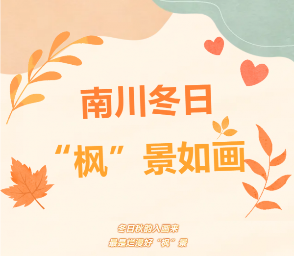 微信图片_20241212084154.png
