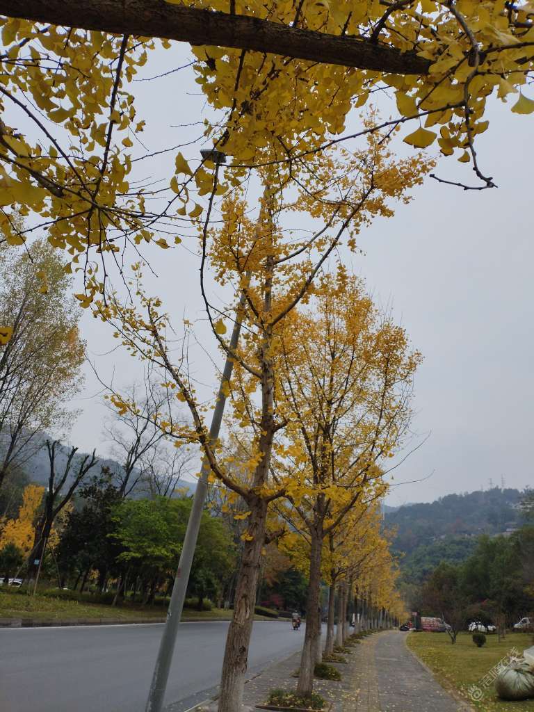20241212095017front2_0_414118_FuP2pKjUYcrFQ9Tp_f8dsL29Y35F.jpg