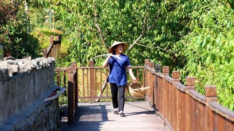 20241212111709front2_0_414095_FpLTjzmq2Rt3BxNeanhICuknwvK4.jpg