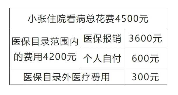 20241213161404front2_0_414115_Fnn5zYKVrQ8cQPnbZ37yNOB6uFig.png