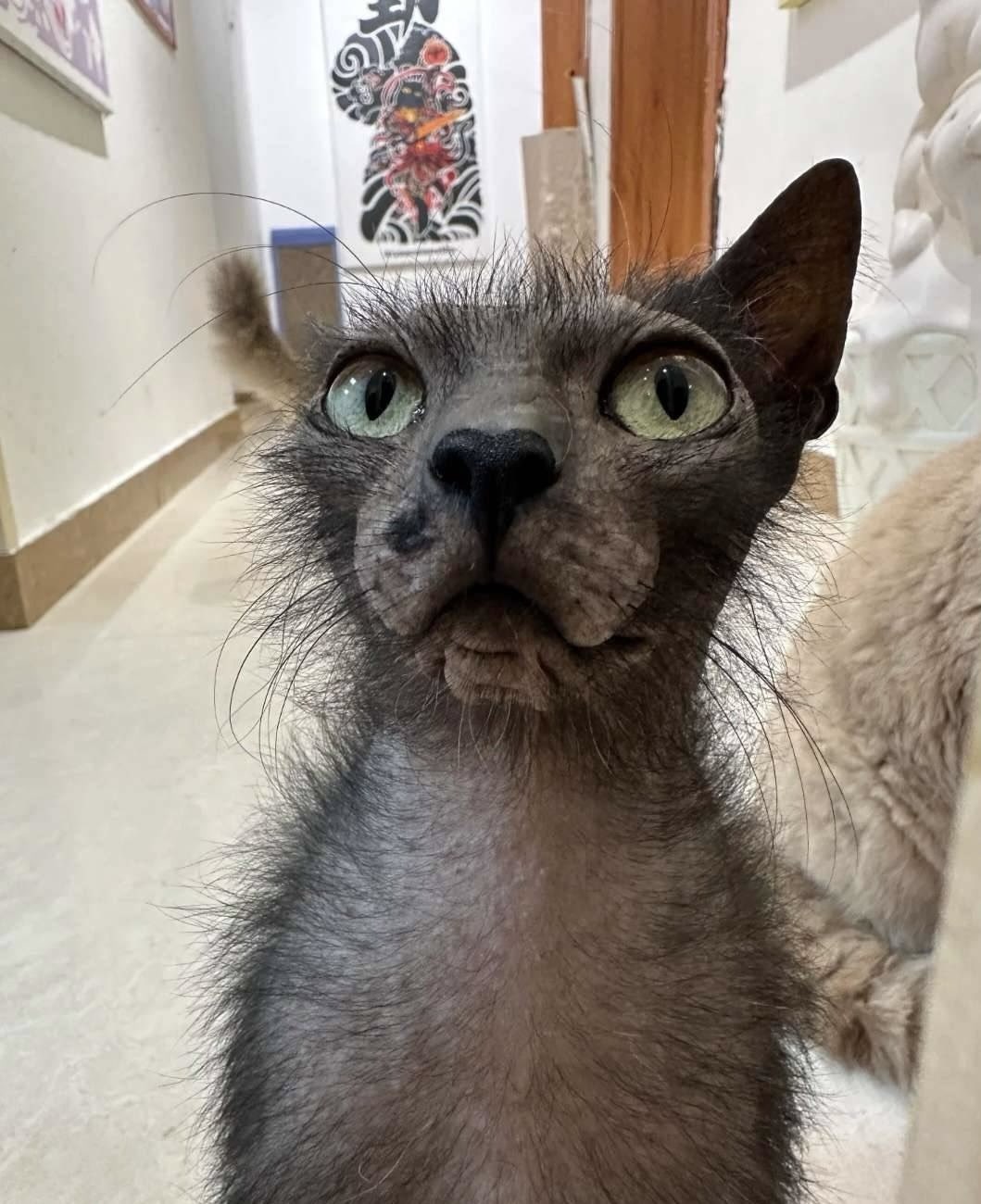 20241216115153front1_0_421181_FriIekaMBGK8J_P_8G_yzLNf_gey.jpg