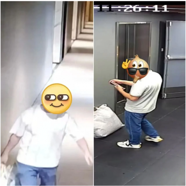 微信图片_20241218092532.png