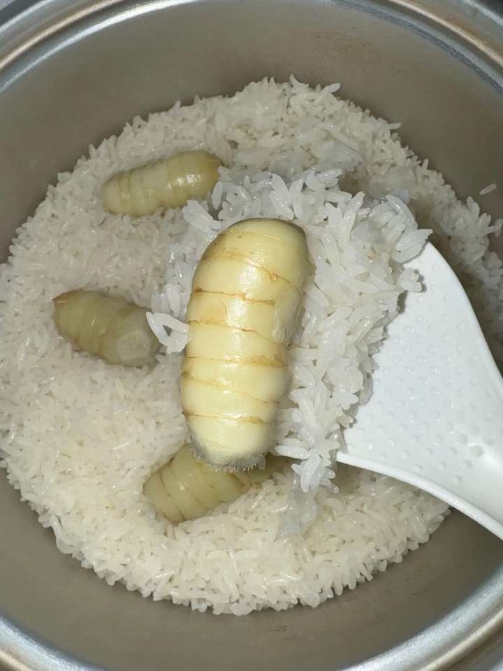20241218100233front1_0_417249_FopJMzH81r3eG12bhZCzovBwT-dE.jpg