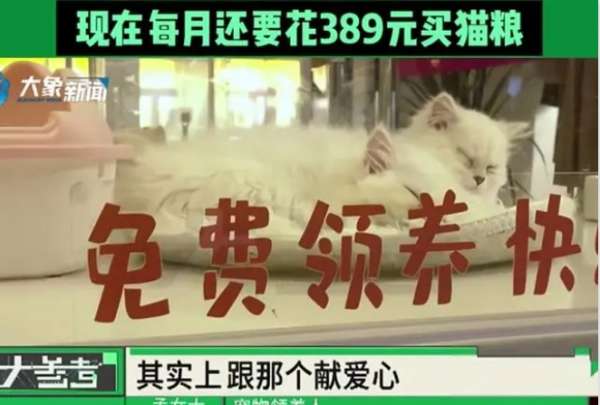 微信截图_20241218141839.png