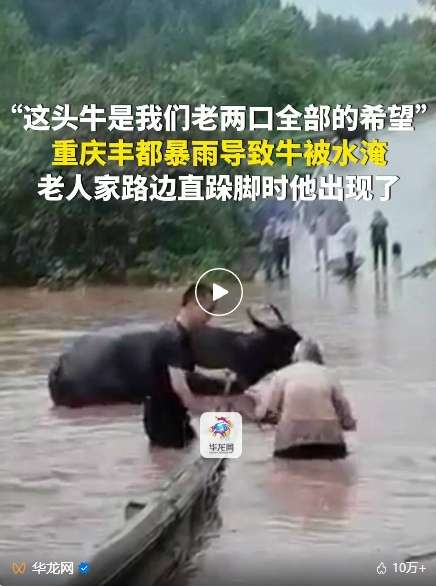 微信截图_20241227085543.png