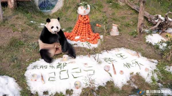 微信图片_20250103092850.jpg