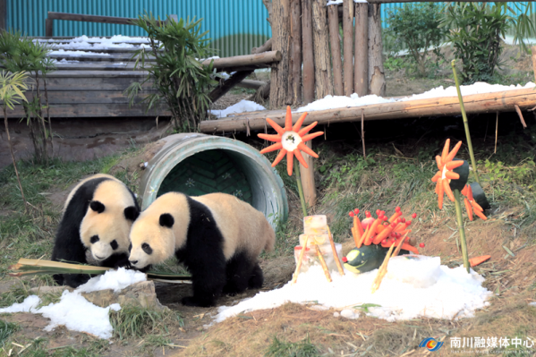 微信图片_20250103092911.png