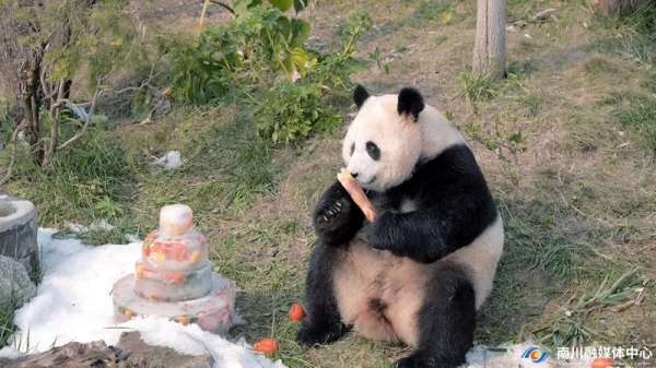 微信图片_20250103092945.jpg