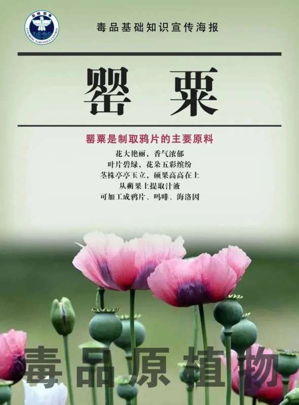 微信图片_20250108085137.jpg