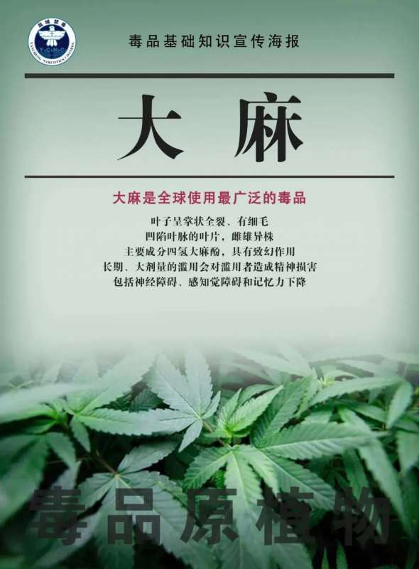 微信图片_20250108094513.jpg