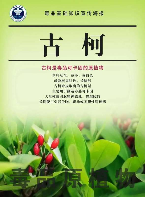 微信图片_20250108094516.jpg