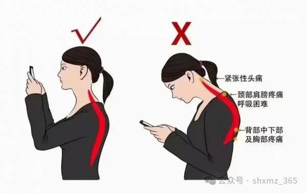 微信图片_20250115085852.jpg