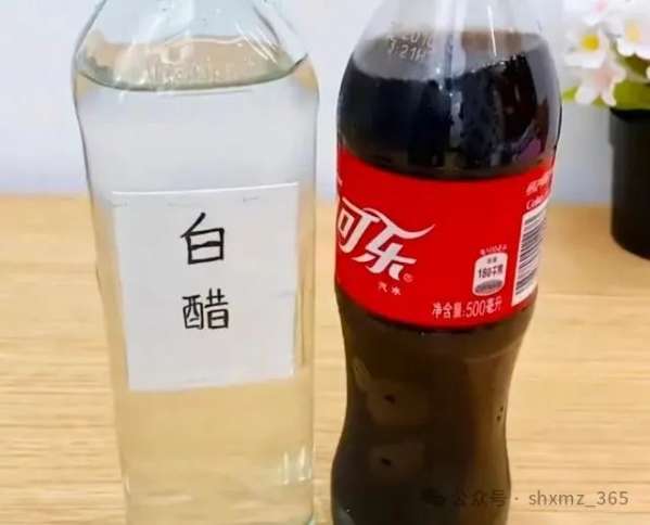 微信图片_20250124090531.jpg