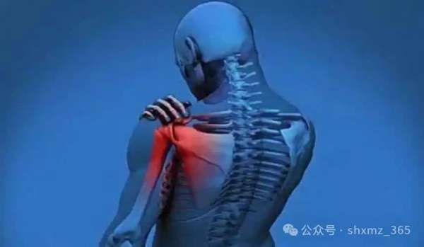微信图片_20250204090340.jpg