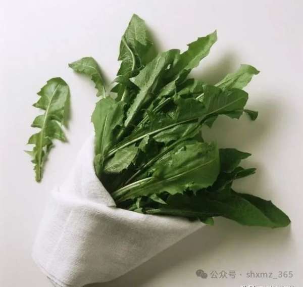 微信图片_20250206090857.jpg
