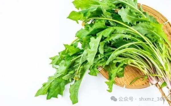 微信图片_20250206090959.jpg